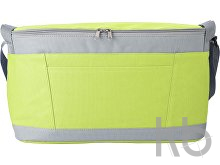 Polyester (600D) cooler bag