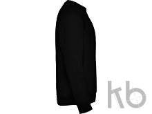 Свитшот с начесом «Clasica» унисекс