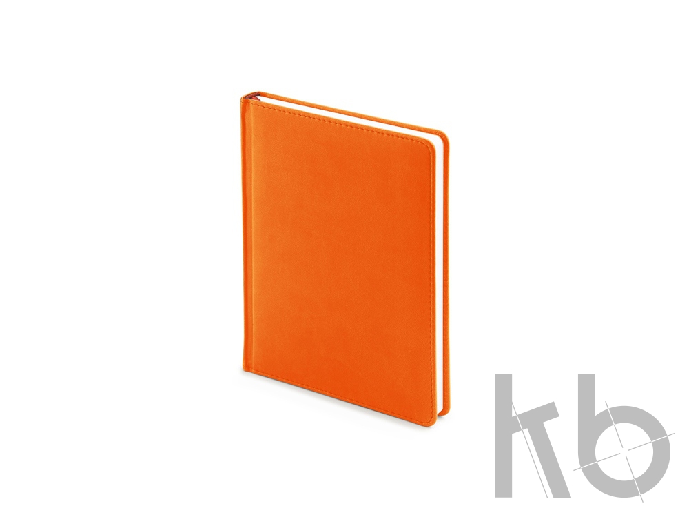 Ежедневник недатированный А6+ «Velvet»