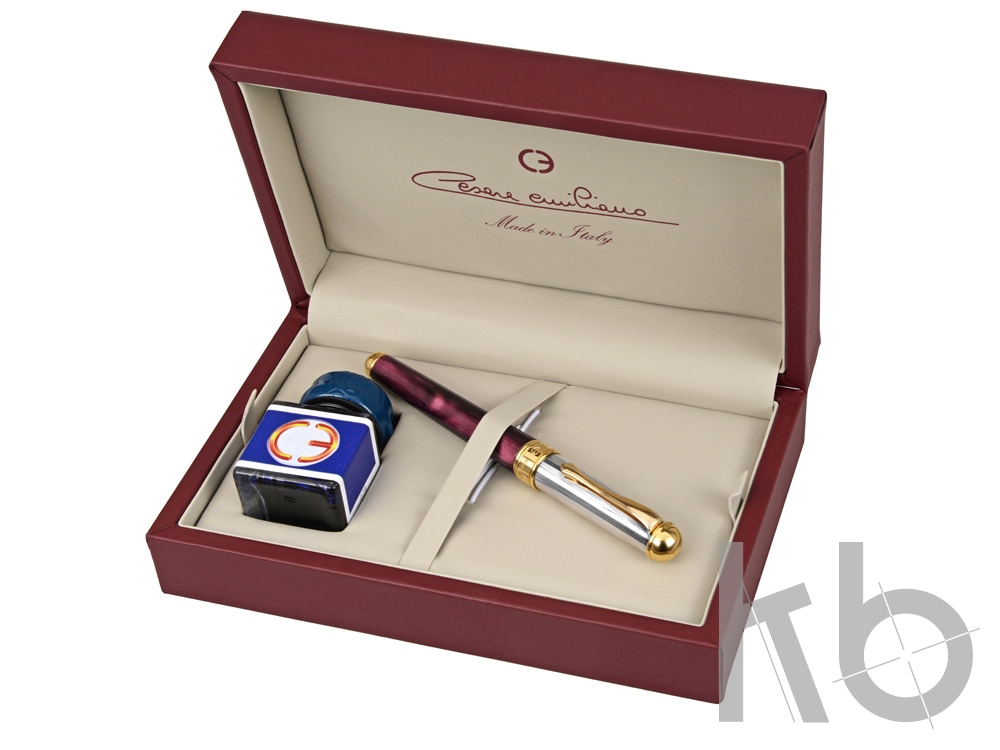 Набор: ручка перьевая, чернила