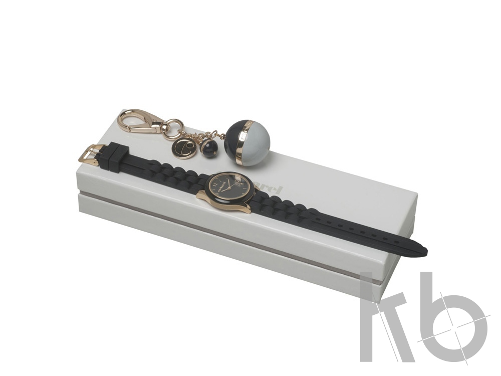 Подарочный набор Bird: брелок, часы наручные