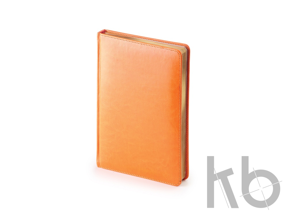 Ежедневник датированный А5 «Sidney Nebraska» на 2021 год