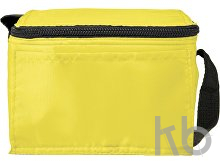 Polyester (210D) cooler bag