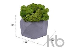 Кашпо бетонное со мхом «Бета»