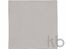 Подарочный набор «Вырасти Бонсай дома. Сосна»