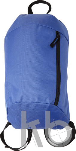 Polyester (210D) backpack