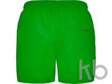 Плавательные шорты «Aqua», мужские