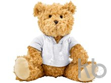 Plush teddy bear
