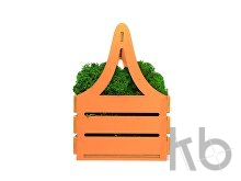 Композиция «Корзинка со мхом»