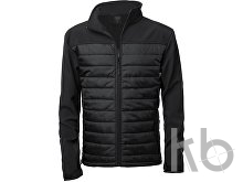 softshell jacket