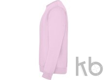 Свитшот с начесом «Clasica» унисекс