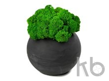 Кашпо бетонное со мхом «Сфера»