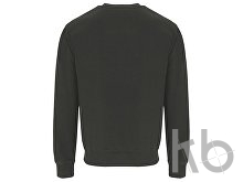 Свитшот «Teleno», унисекс