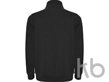 Свитшот «Aneto» мужской