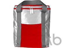 Polyester (420D) cooler bag