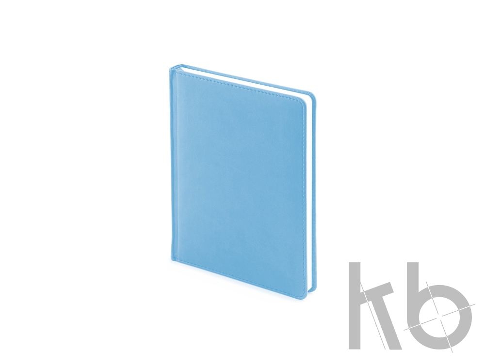 Ежедневник недатированный А6+ «Velvet»