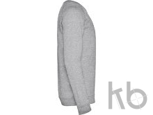 Свитшот «Annapurna» мужской