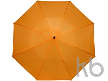 Polyester (190T) umbrella