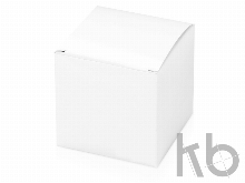 USB-переходник «Яблоко»