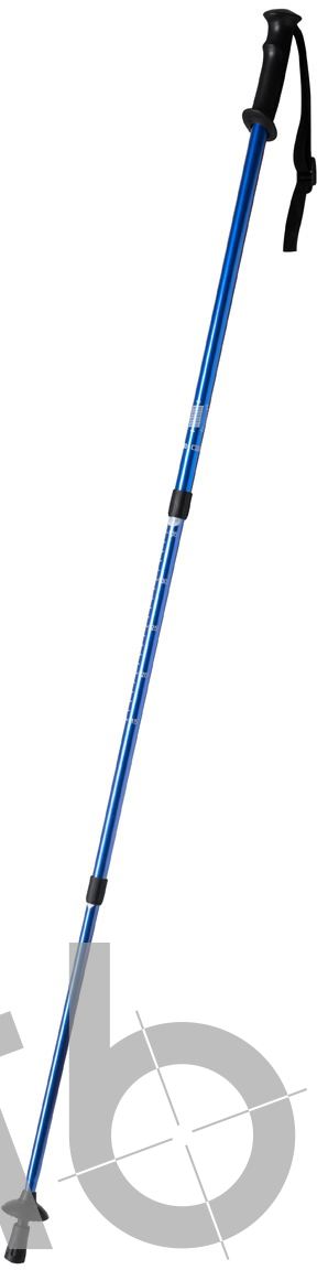 nordic walking sticks