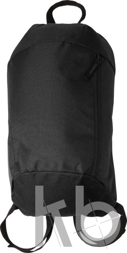 Polyester (210D) backpack