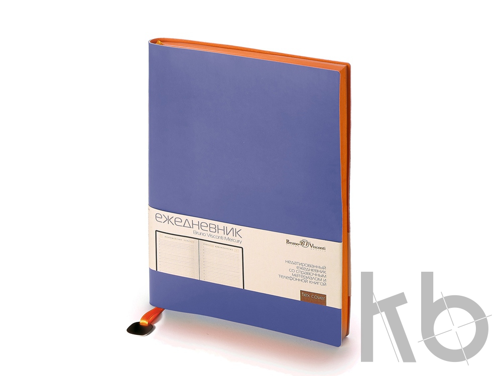 Ежедневник недатированный А5 «Mercury»