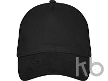 Бейсболка «Doyle»