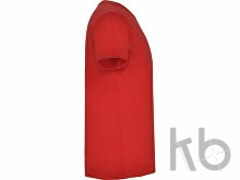 Футболка «Samoyedo» мужская