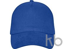 Бейсболка «Doyle»