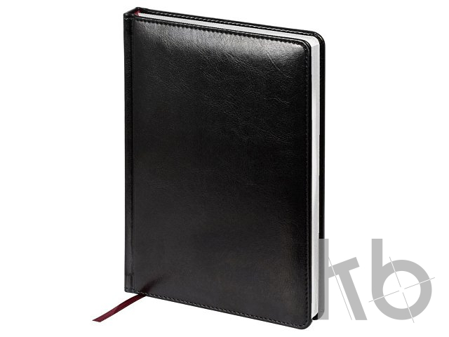 Ежедневник недатированный А5 «Sidney Nebraska»