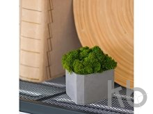 Кашпо бетонное со мхом «Гама»