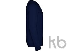 Свитшот «Annapurna» мужской