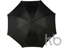 Polyester (210T) umbrella