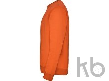 Свитшот с начесом «Clasica» унисекс