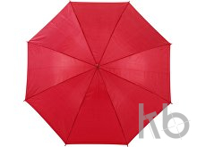 Polyester (170T) umbrella