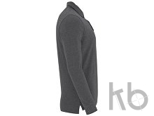 Рубашка поло «Dylan» мужская с длинным рукавом