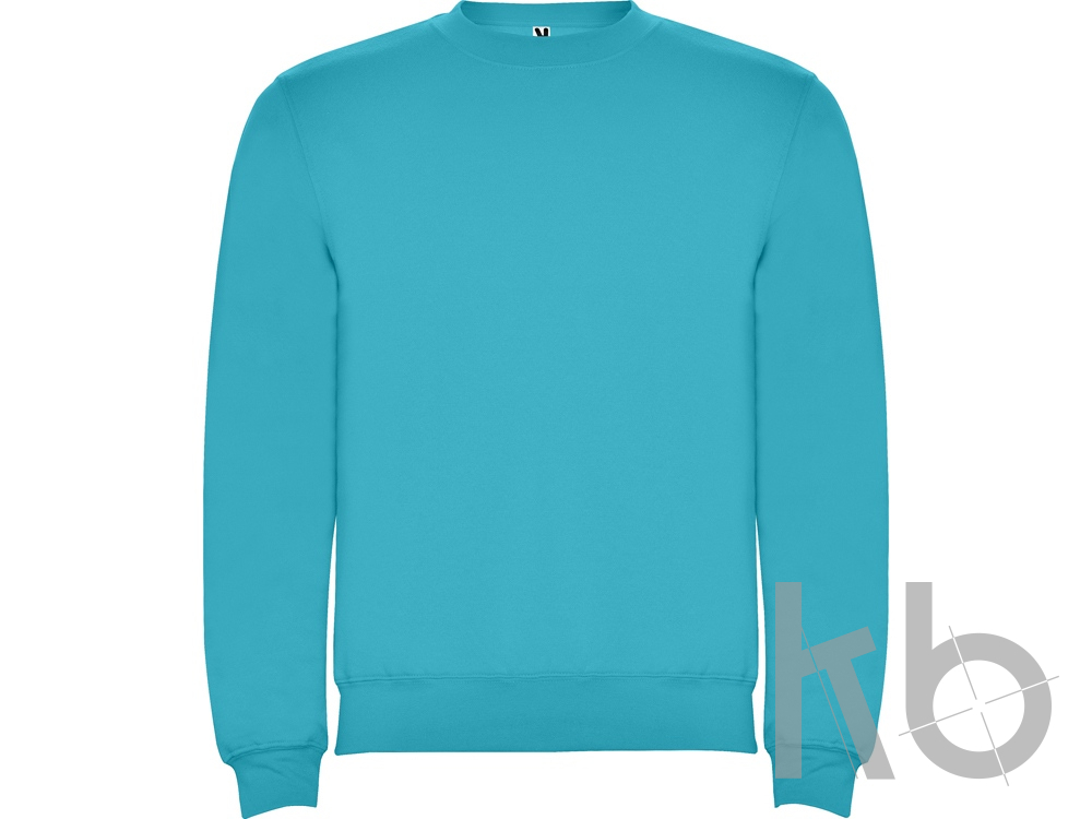 Свитшот с начесом «Clasica» унисекс