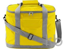 Polyester (420D) cooler bag