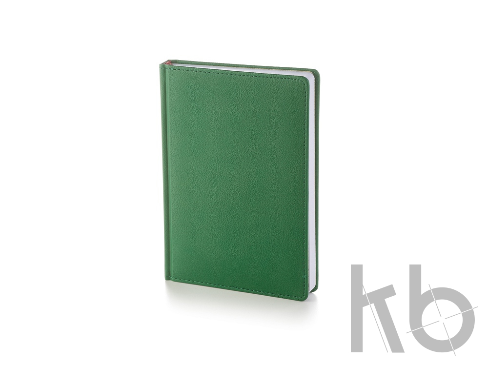 Ежедневник А5 датированный «Leader» на 2021 год