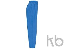 Брюки «Vademecum», унисекс