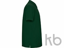 Рубашка поло «Pegaso» мужская