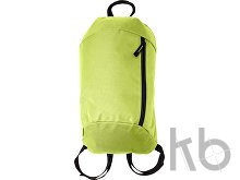 Polyester (210D) backpack