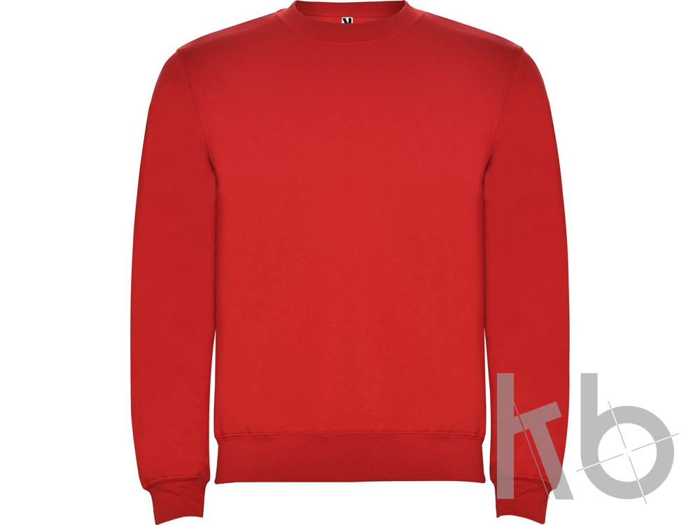 Свитшот с начесом «Clasica» унисекс