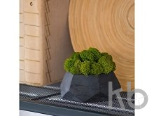 Кашпо бетонное со мхом «Альфа»
