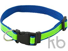 visibility dog's collar