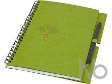 Блокнот A5 «Luciano Eco» с карандашом