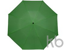 Polyester (190T) umbrella
