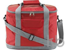 Polyester (420D) cooler bag
