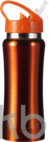 Stainless steel bottle