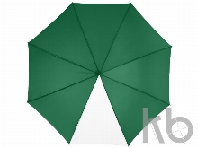 Зонт-трость «Tonya»